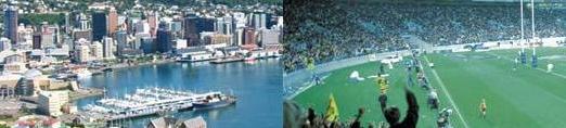 Wellington harbour and rugby